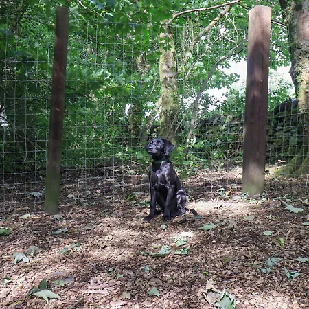 Abbots Reading Mews 2 * 雷克赛德