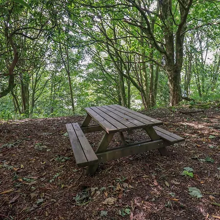 度假居 Abbots Reading Mews 2 *